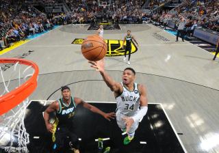 排坛的常青 排坛的常青