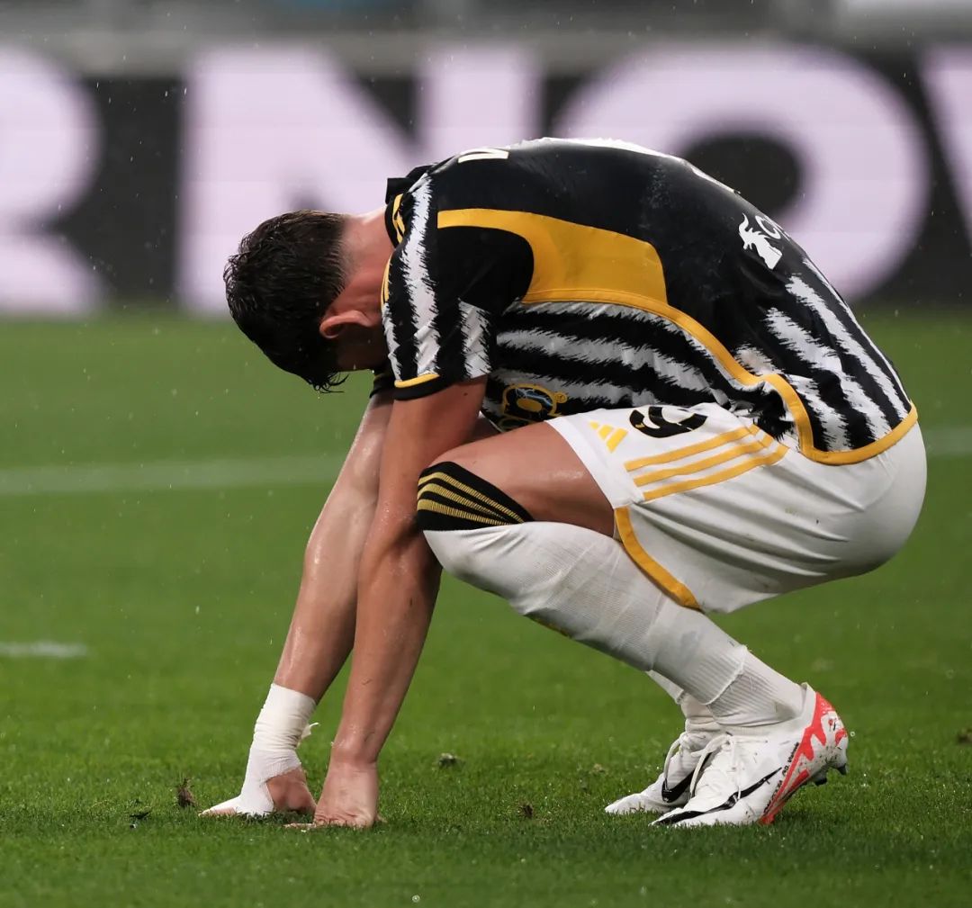 取得了显著 取得了显著